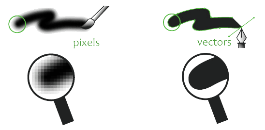 vector-vs-bitmap vector vs bitmap